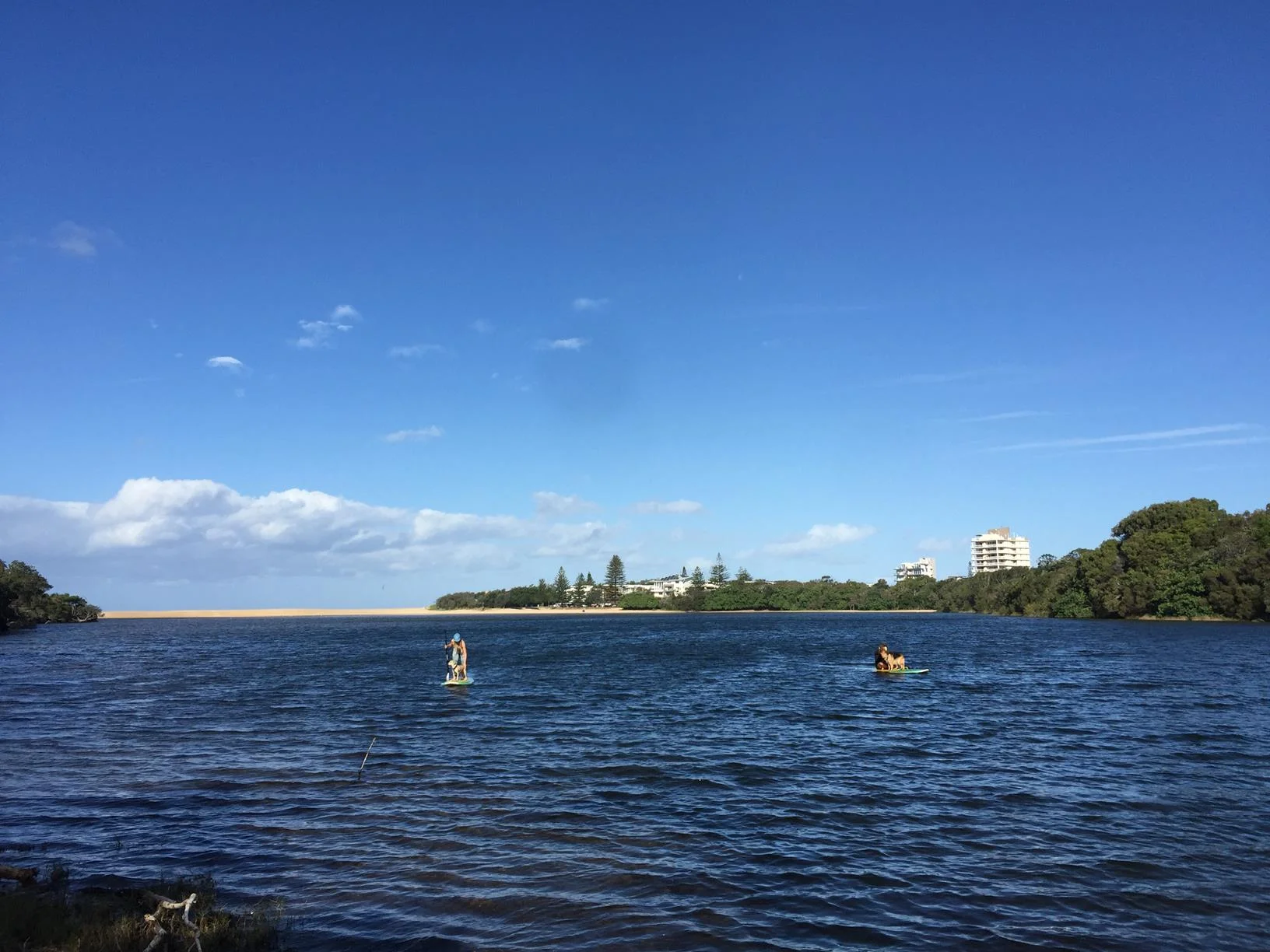 Lake Currimundi (Kathleen McArthur) Conservation Park circuit