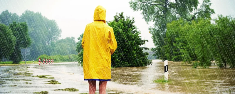 Natural disaster planning