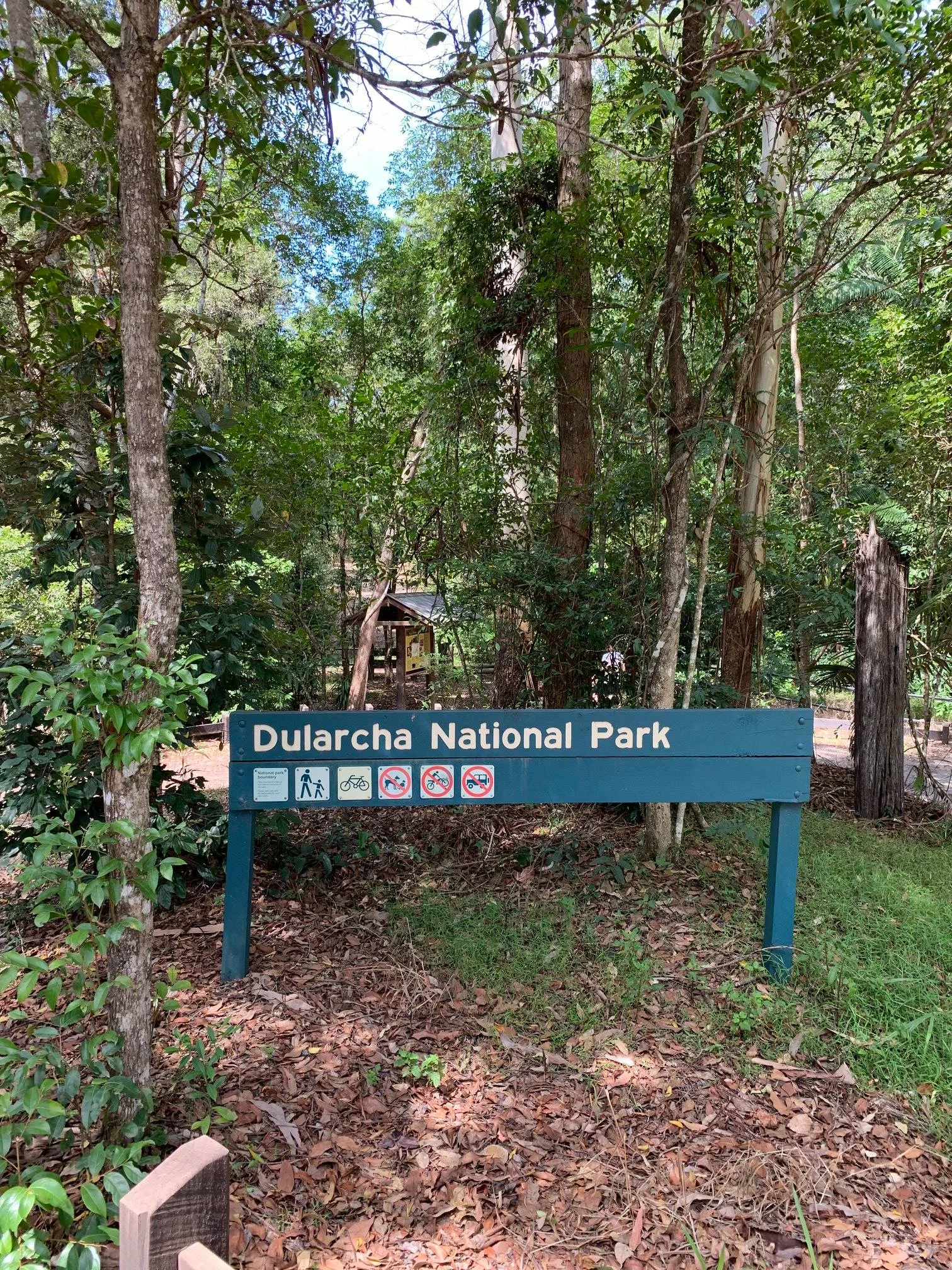 Dularcha National Park – Tunnel Track