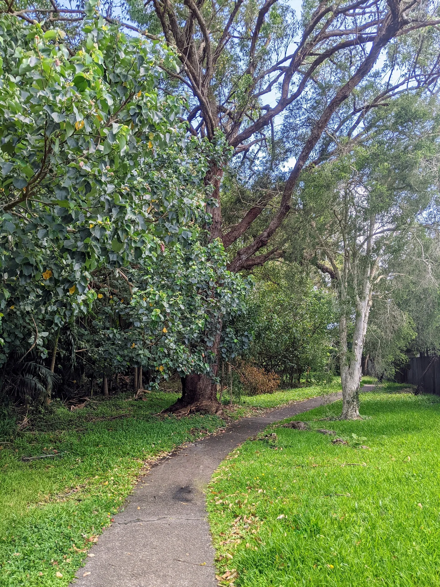 Mooloolaba – Emerald Woods Walk