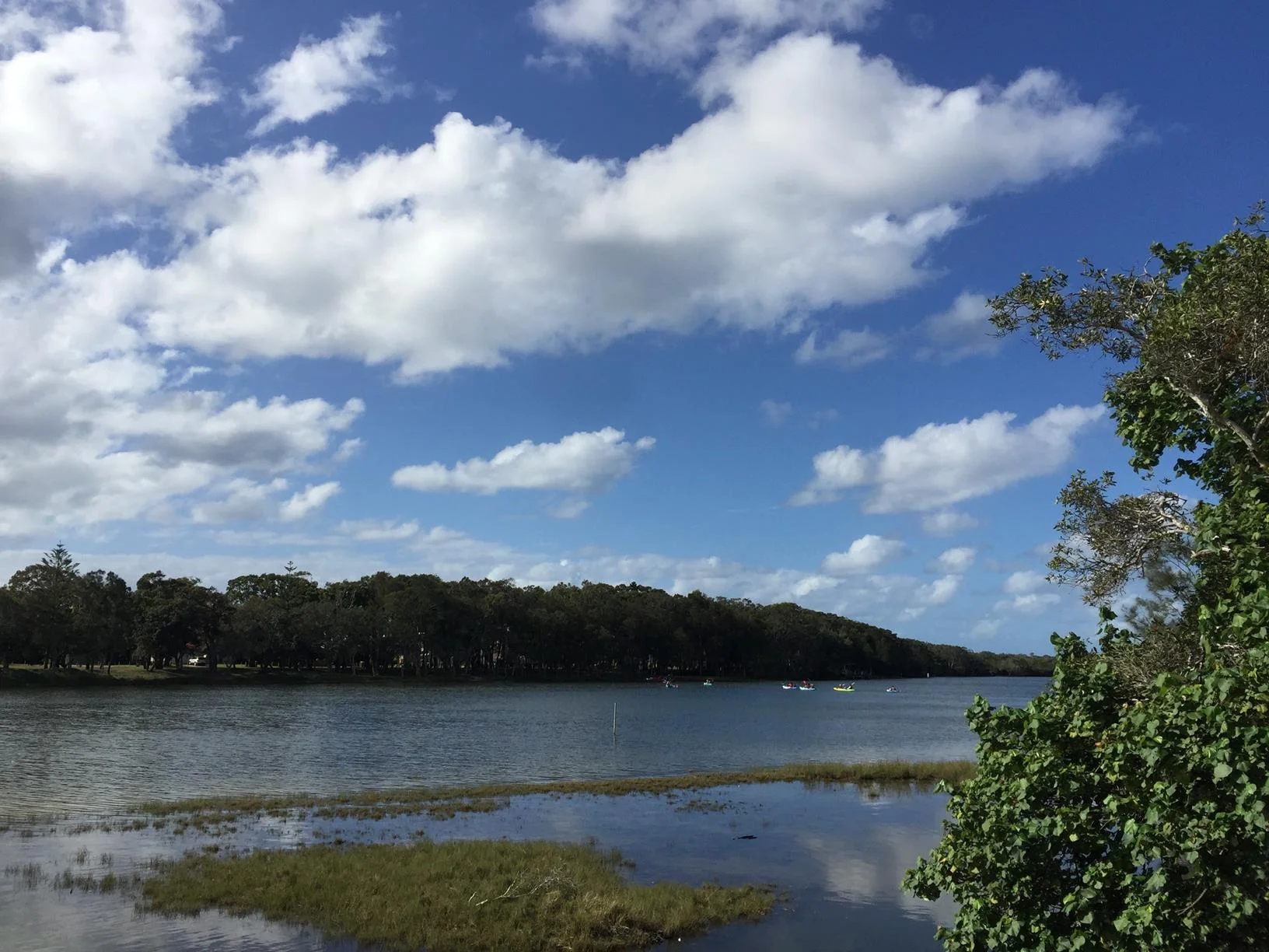Currimundi Lake – ‘Loop the Lake’ walk