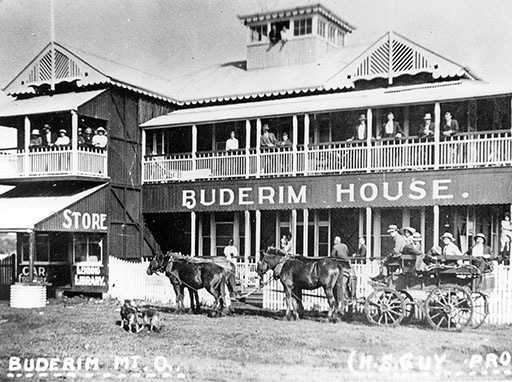 Buderim