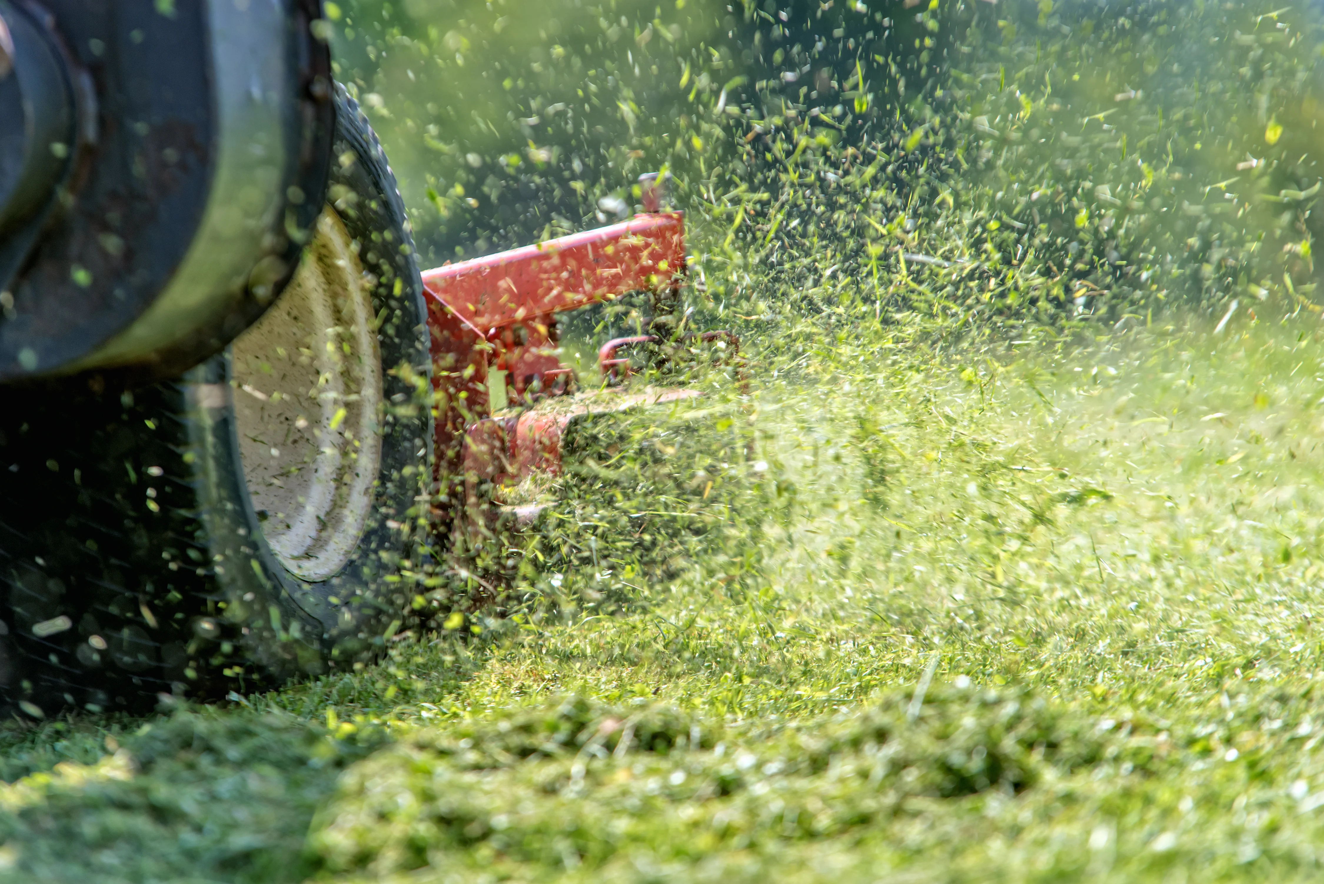 lawn mowing