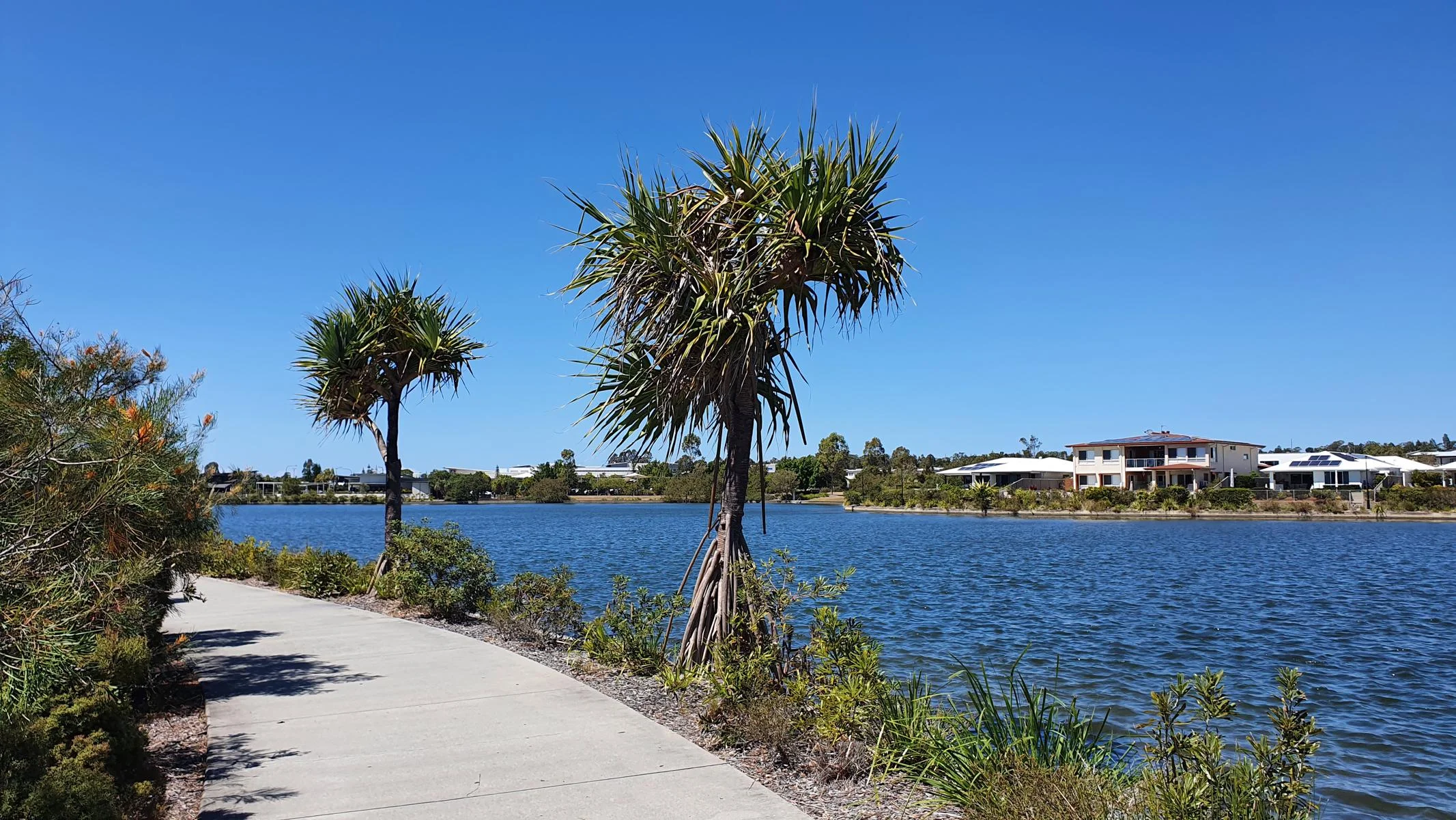 Brightwater ‘Loop the Lake’ walk