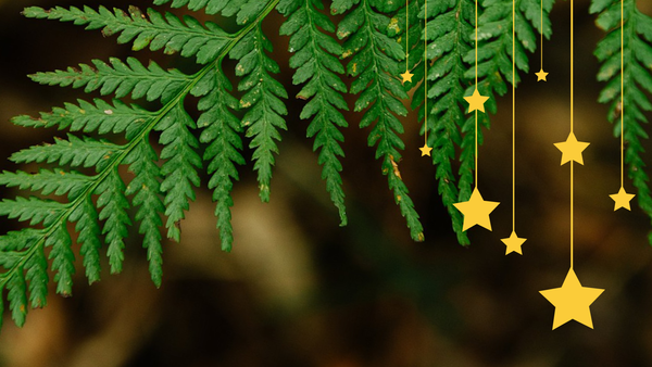 Bushland Festive Craft Day