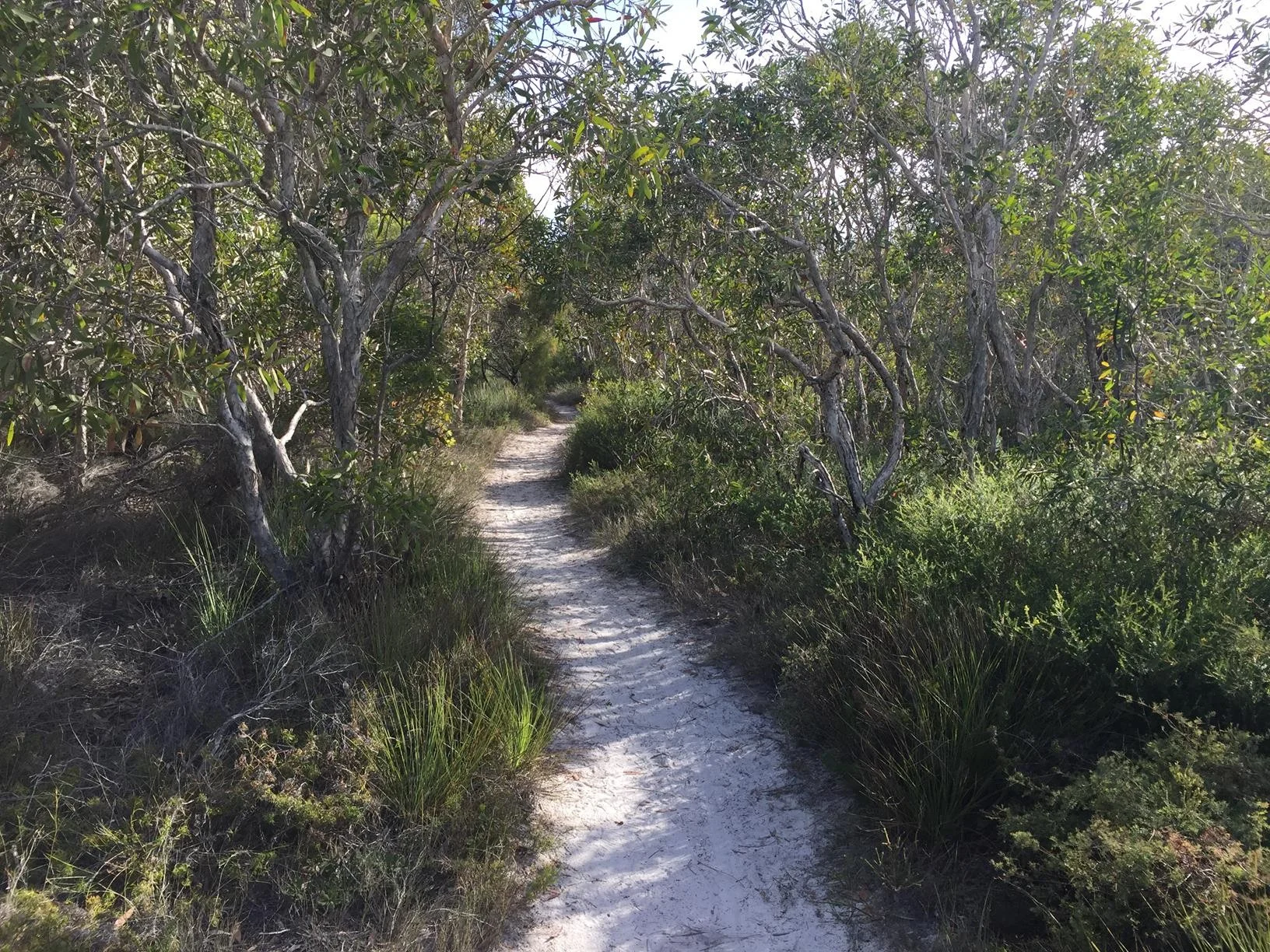 Lake Currimundi (Kathleen McArthur) Conservation Park circuit