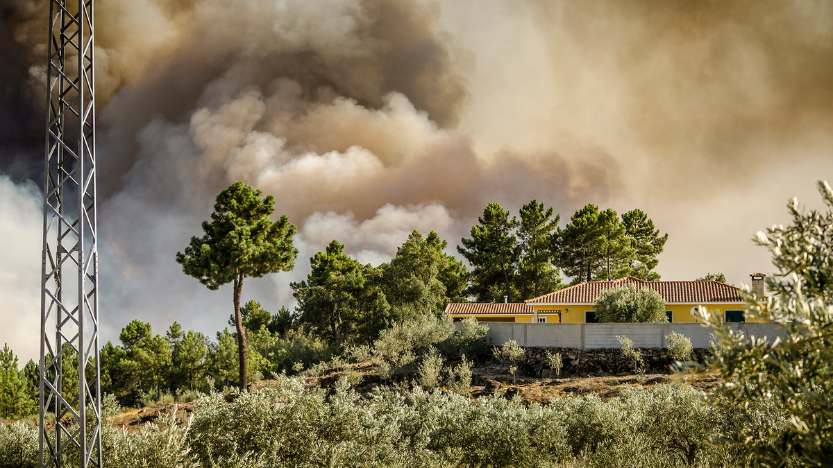Workshops to help prepare us for disaster