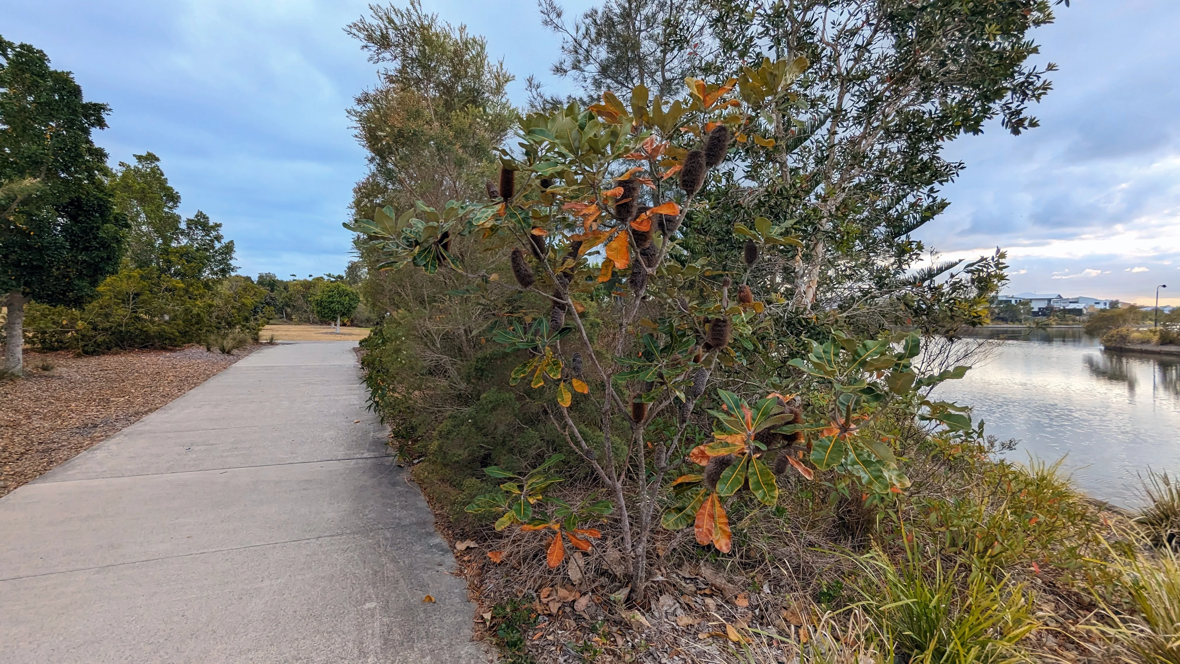 Brightwater ‘Loop the Lake’ walk