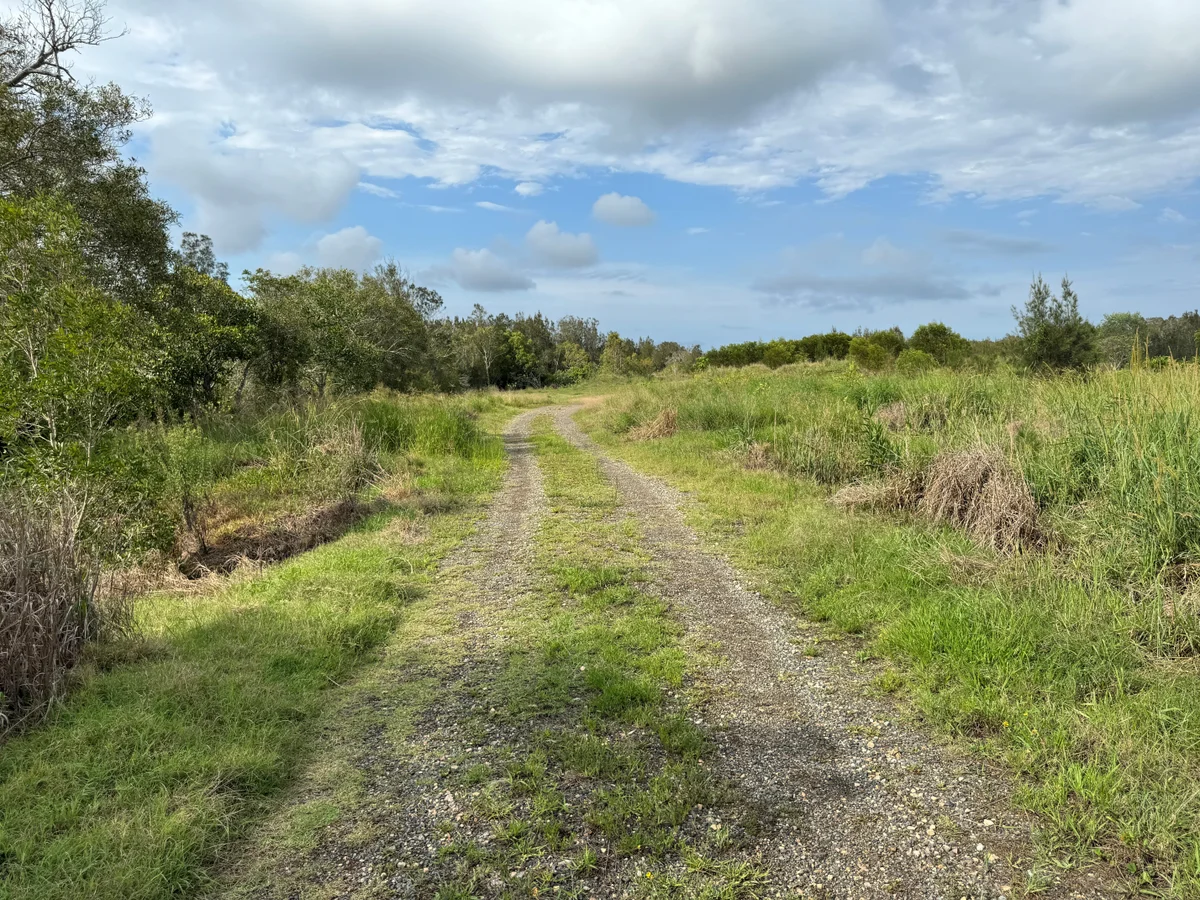 Green light for Australia’s first blue carbon trial