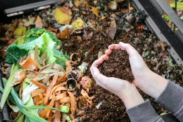 Composting and worm farms
