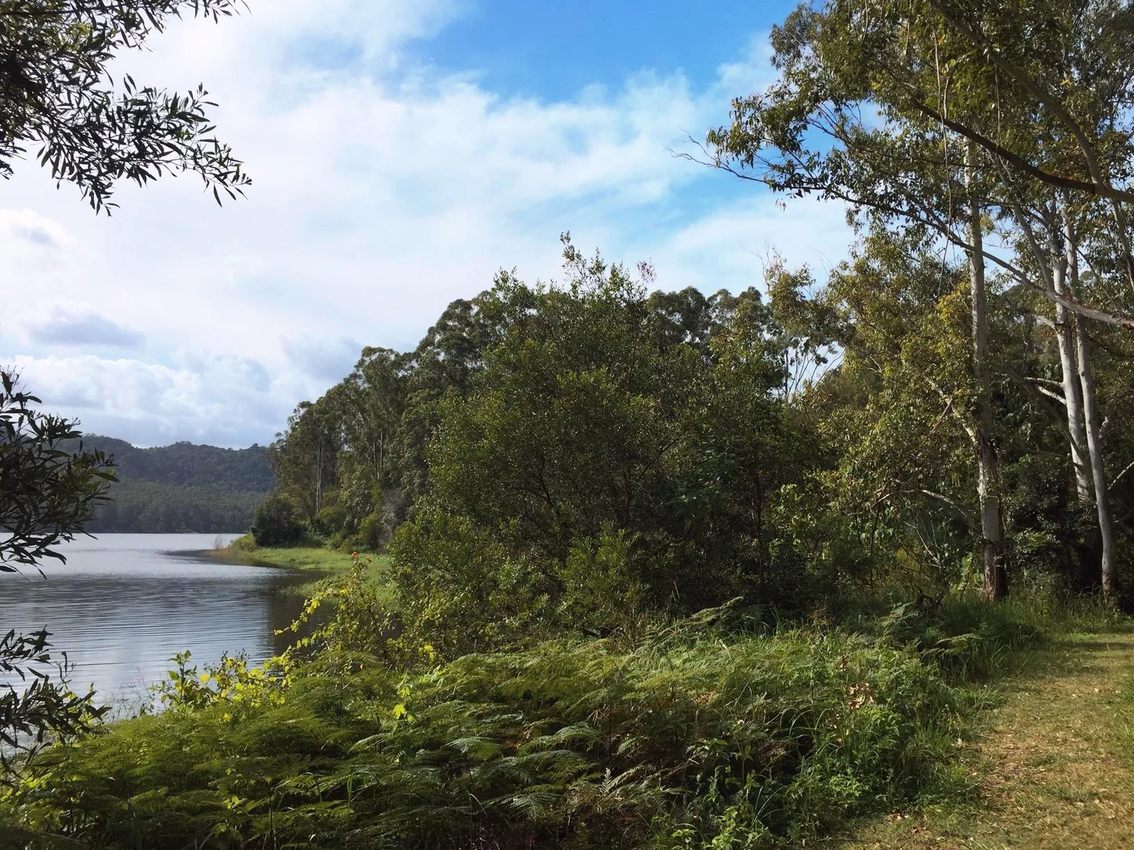 Baroon Pocket Dam – Martin Williams Walk