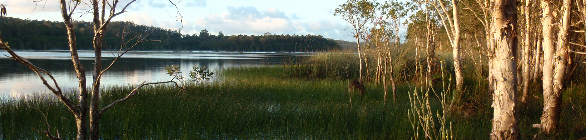 Sunshine Coast Landscape and Wildlife Photography Award 2015