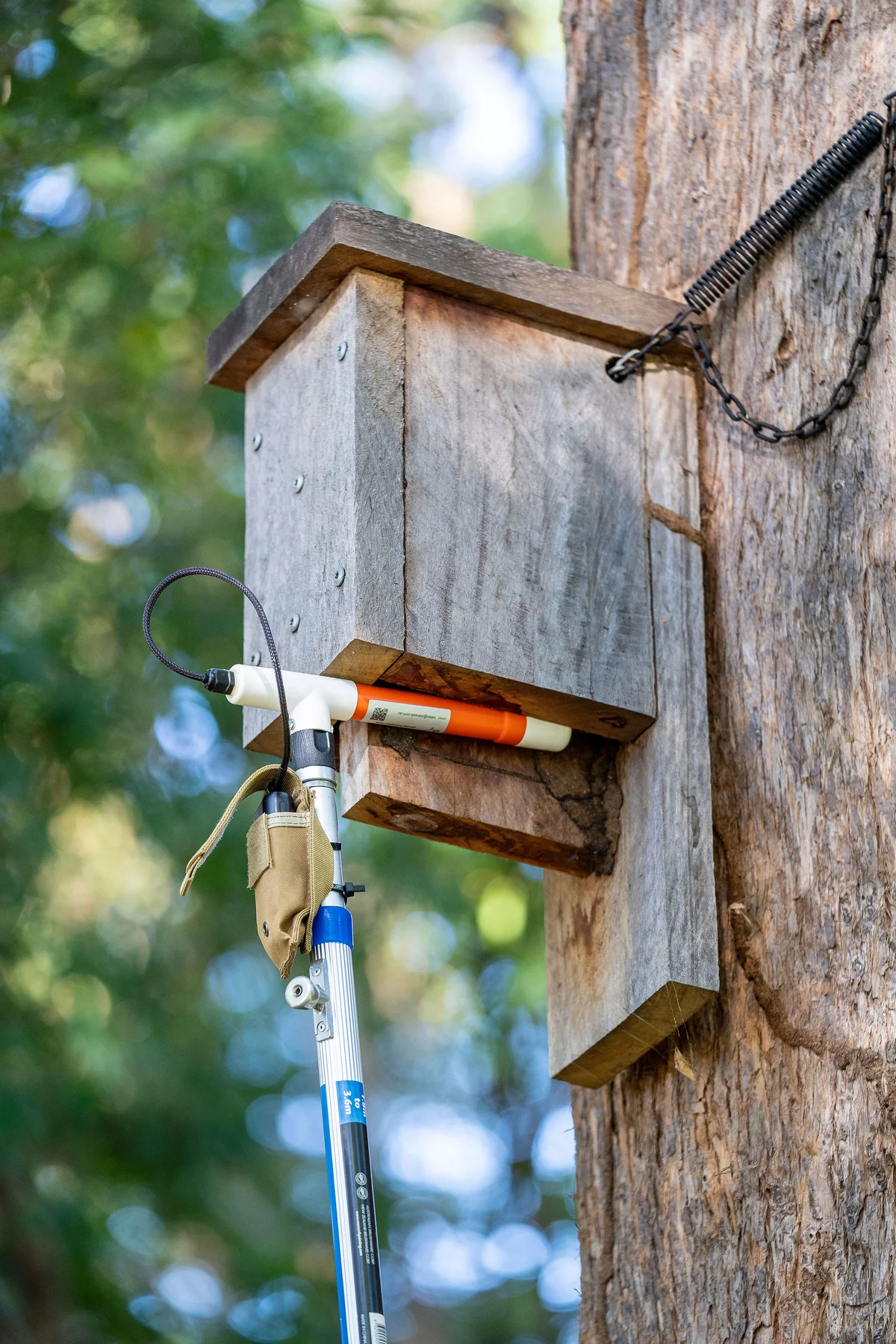 How you can help tree loving wildlife