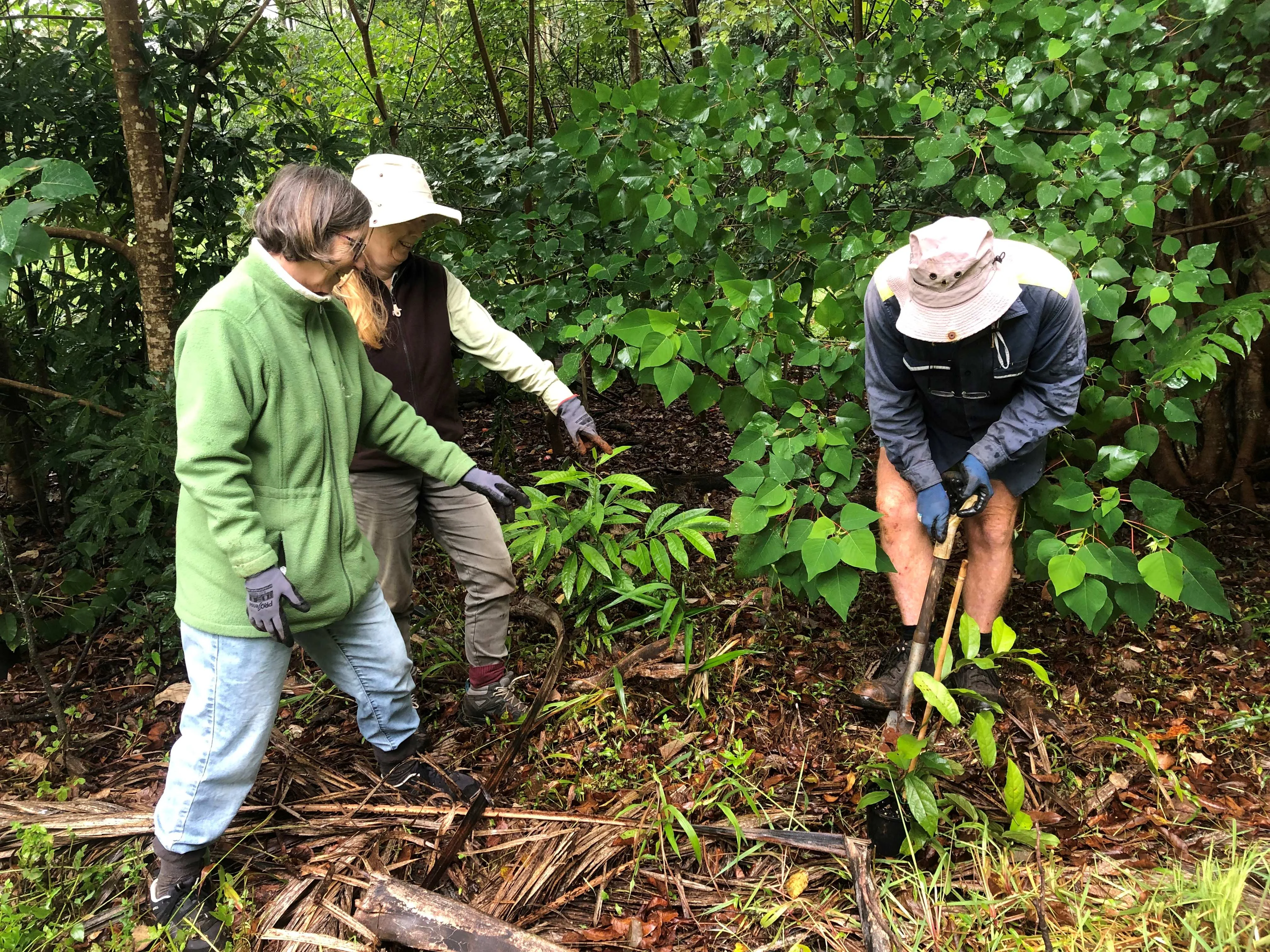 Volunteers work to plant seedlings at the ecological park site. 