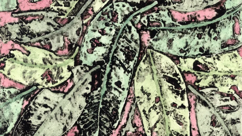 Maleny Printmakers