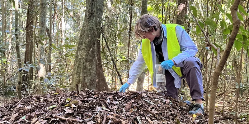 Life in the Leaf Litter