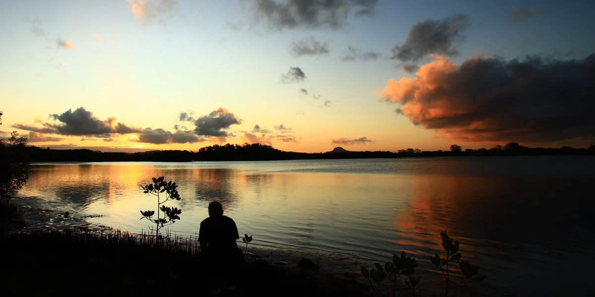 ‘Tune into nature’ at immersive wetland experience