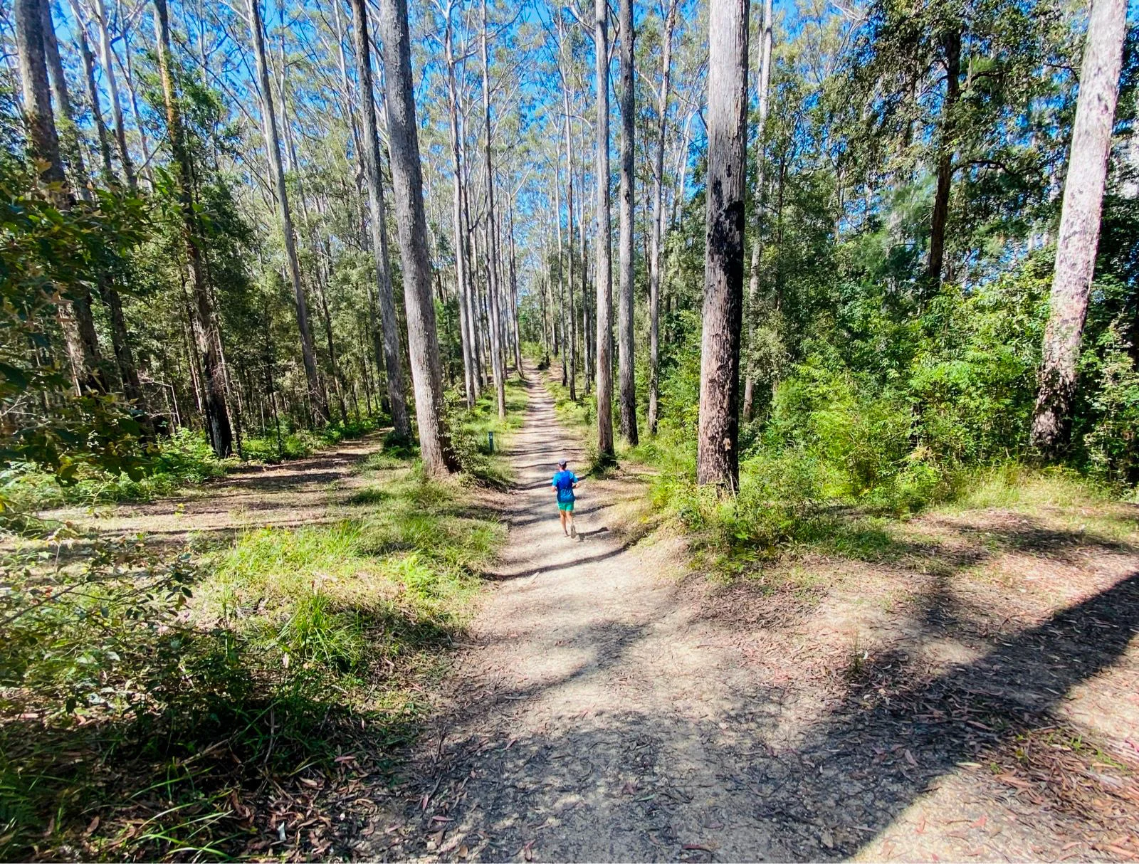 Mapleton National Park – Gheerulla Full Loop Hike