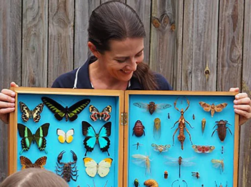 Heritage Wildflower Events