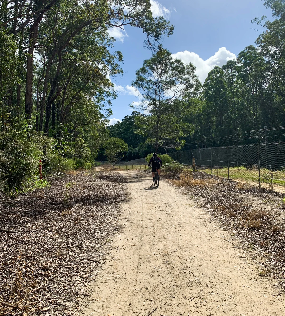 Dularcha National Park – Tunnel Track