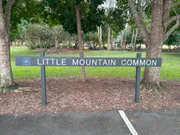 We need your input: Little Mountain skate park