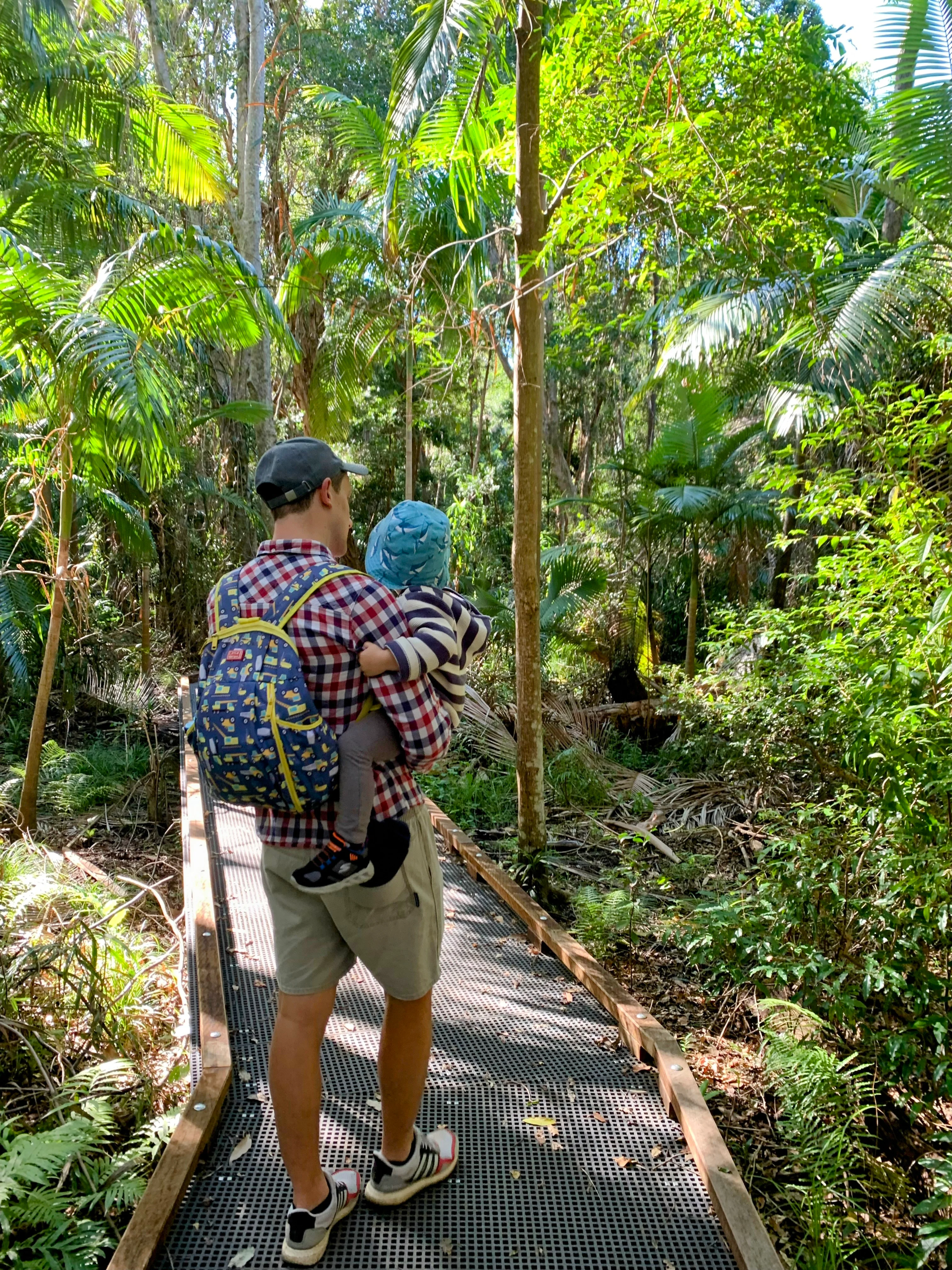 Yaroomba Bushland Park loop 