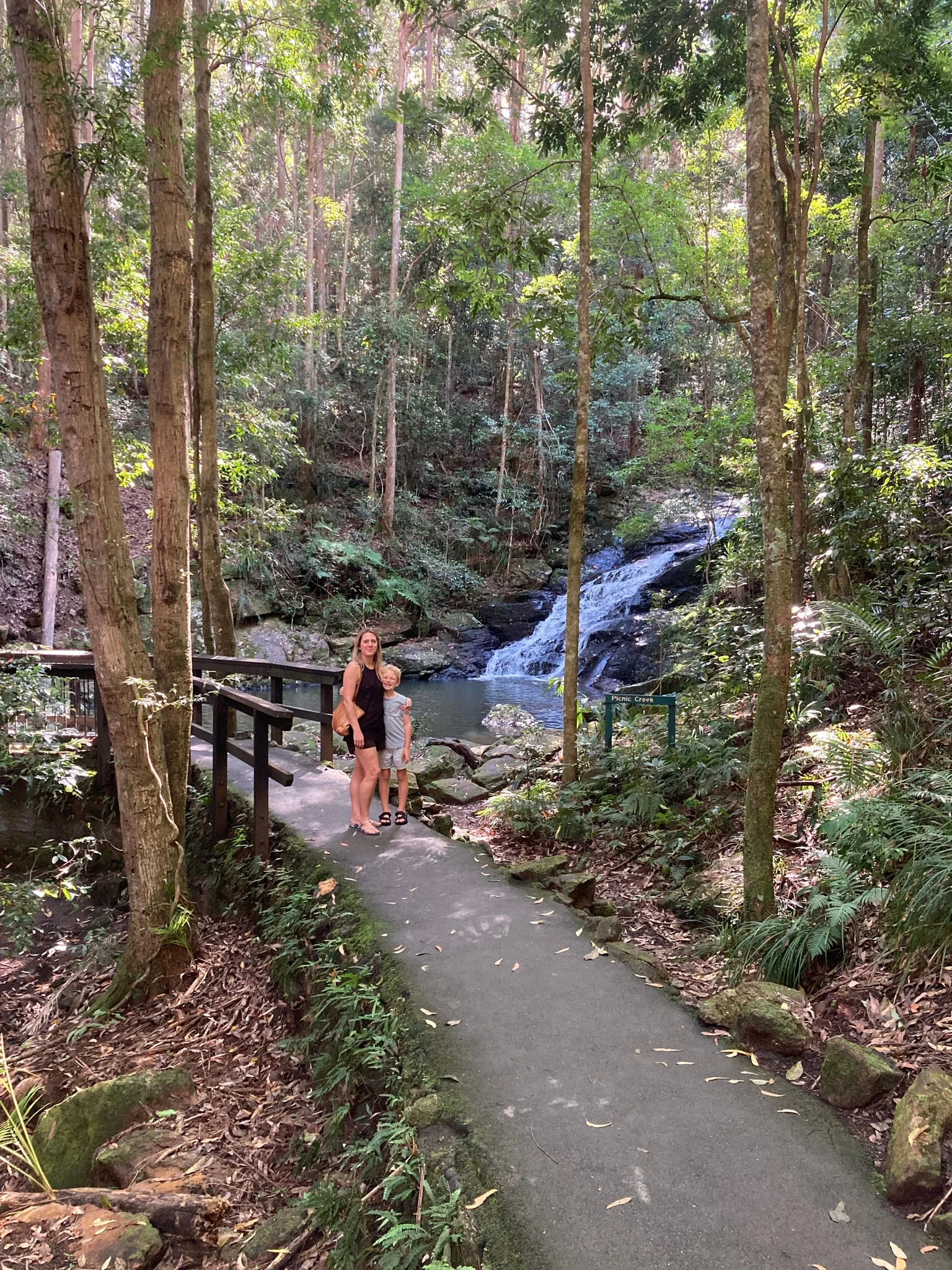 Kondalilla National Park Rock Pools Walk