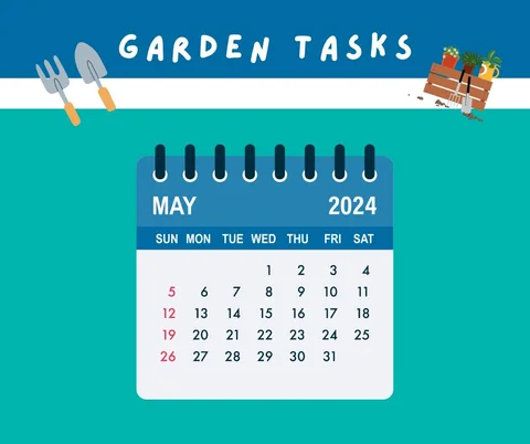 Gardening Tips for Autumn 2024