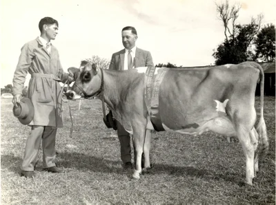 100 Years of Maleny Show