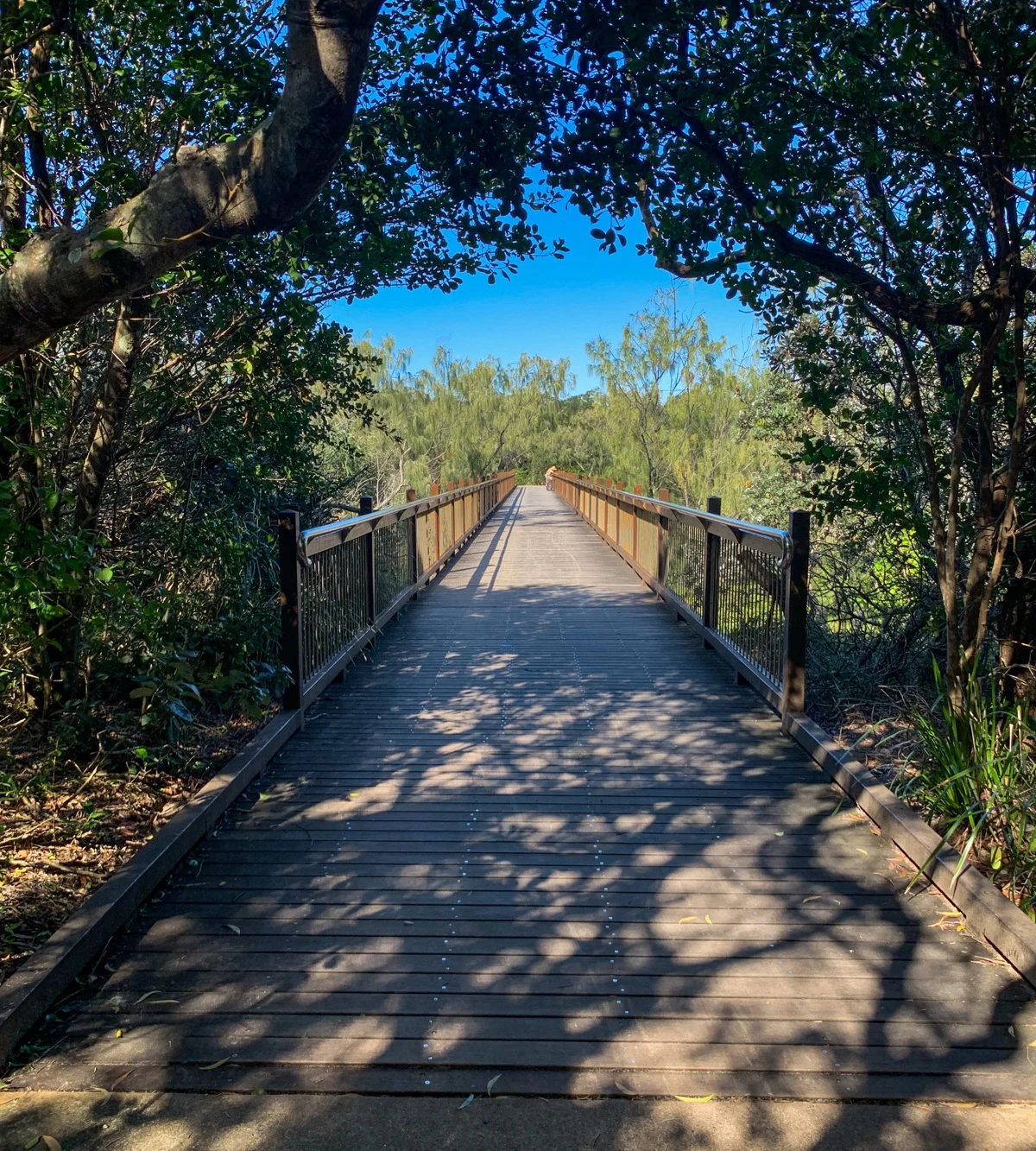 Dicky Beach to Currimundi Lake coastal pathway 