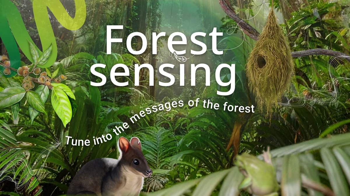 Forest Sensing exhibition