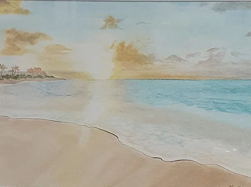 Sunshine Coast Art Group 