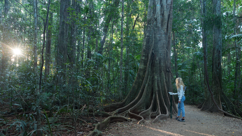 Caring for the reserve