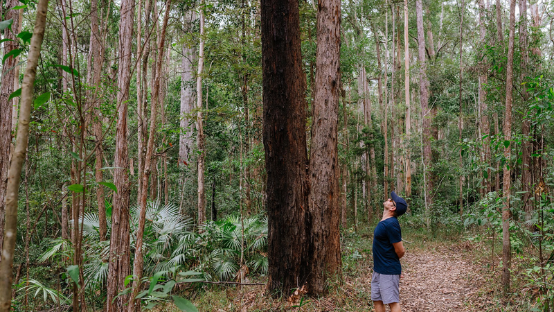 Evolution of the Australian Bush Guided Walk