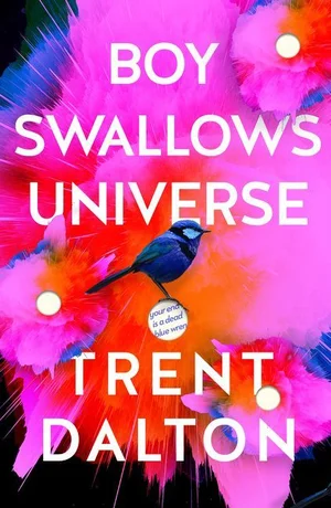 Boy swallows universe
