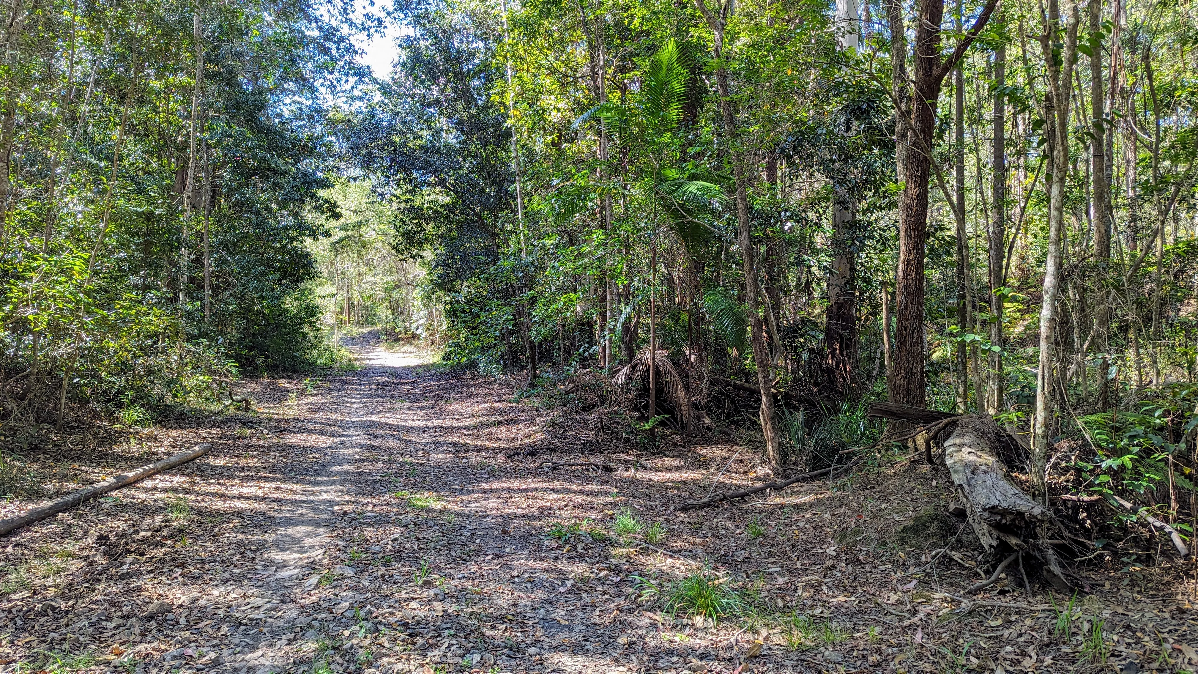 Dularcha National Park – Tunnel Track