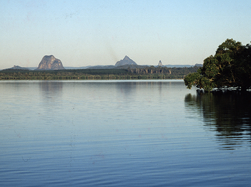 Yandina