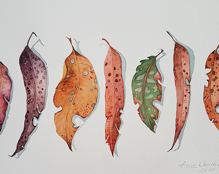 Anna Christie: Nature Studies in Watercolour 