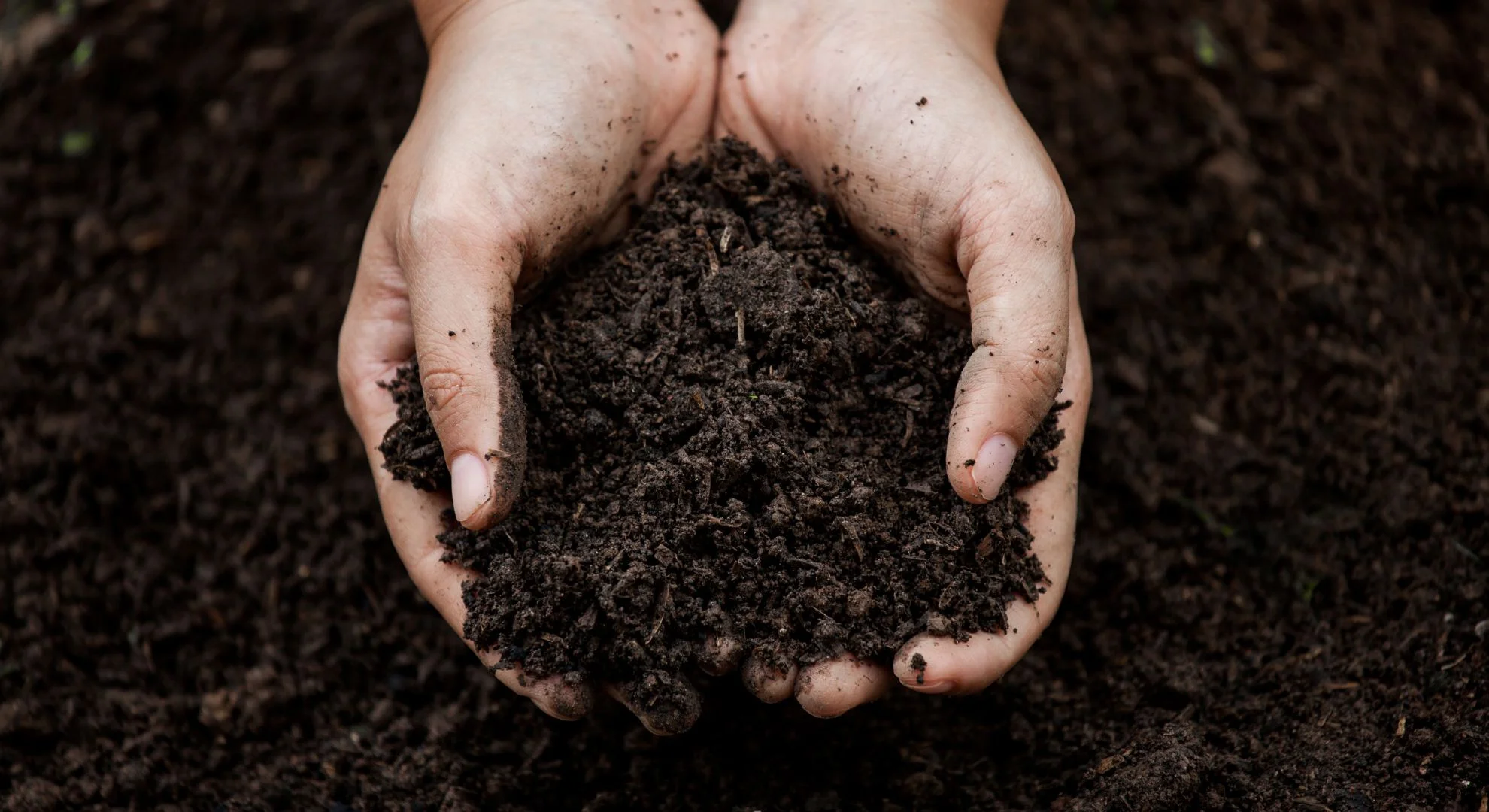 hands holding soil