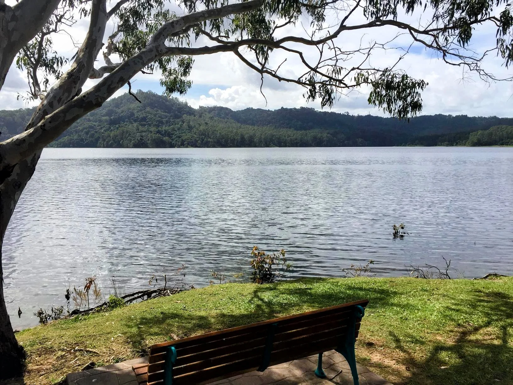 Baroon Pocket Dam – Martin Williams Walk