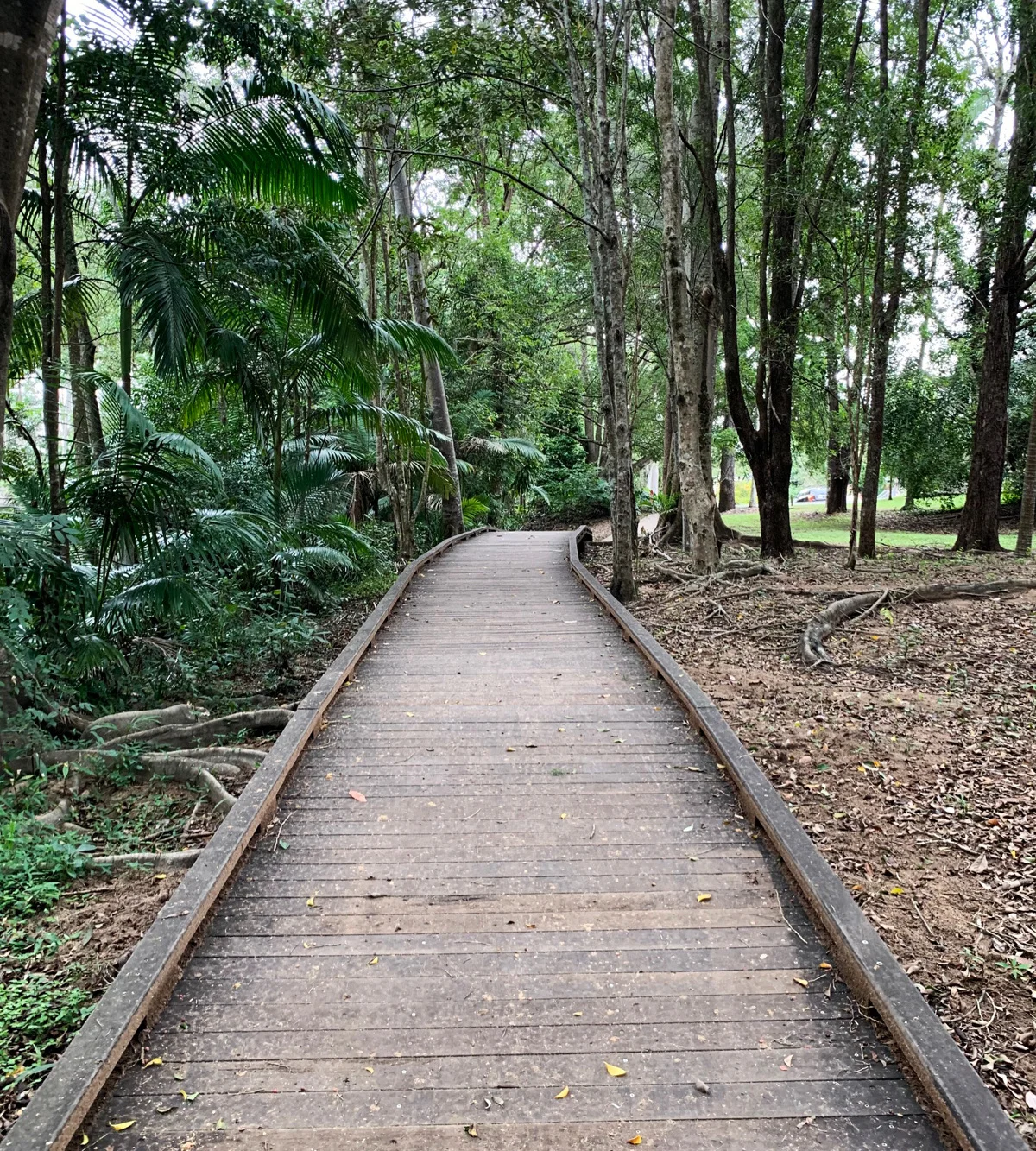 Adventure: Gary Evans Walkway (1.3km one-way length)