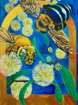 Leaf to Wing - the Maleny Understory