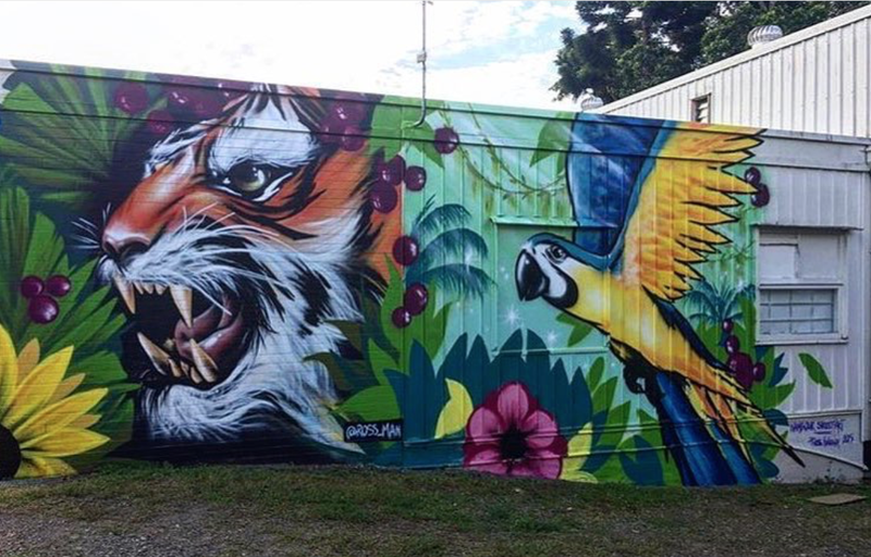 Tiger Tamer by Ross Holloway | Location: 2-6 Price St, Nambour