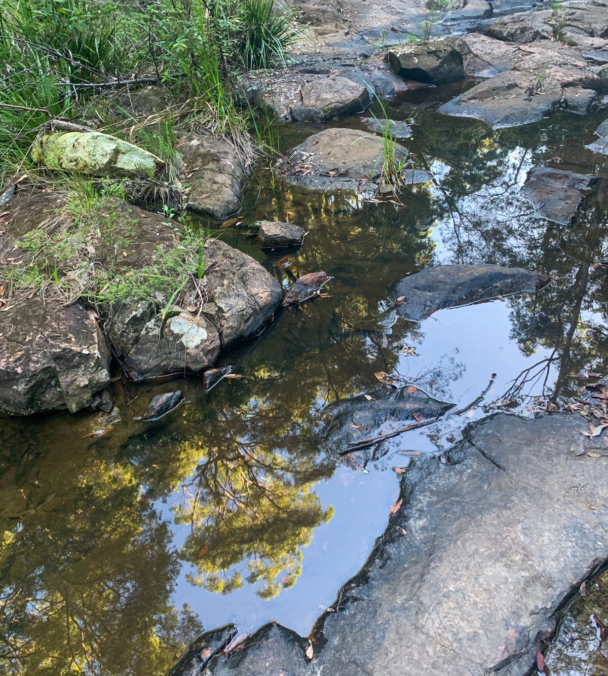 Parklands Conservation Park – Rocky Creek Circuit