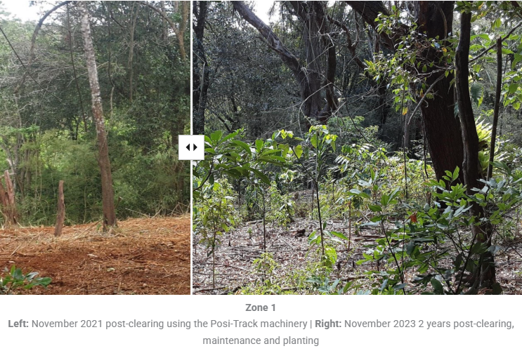 before and after image of the Maleny site
