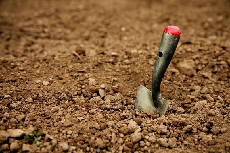 Winter school holidays - archaeology dig